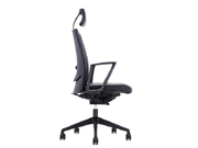 Leather Executive Chair CG-931N